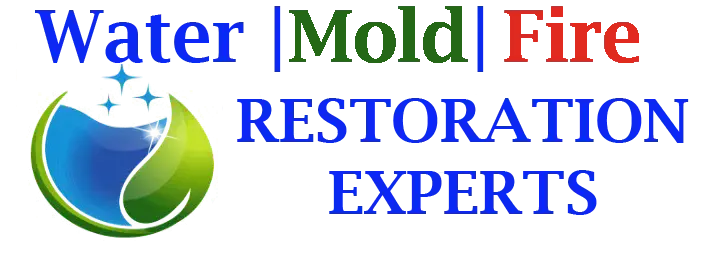 Water Cleanup Mold Removal Fire and Smoke Damage Repair
